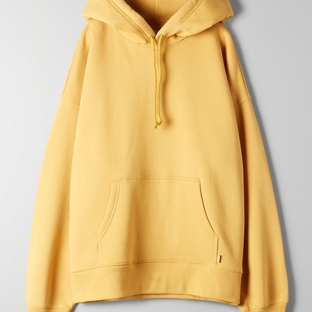 NWOT Aritzia TNA Boyfriend Hoodie